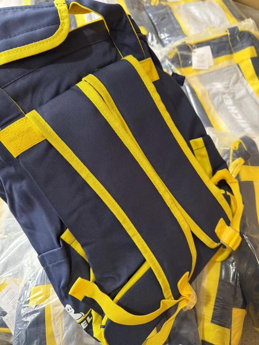 F0304109新款撞色织袋大容量耐脏米奇双肩包再生材料保温包 商品图12