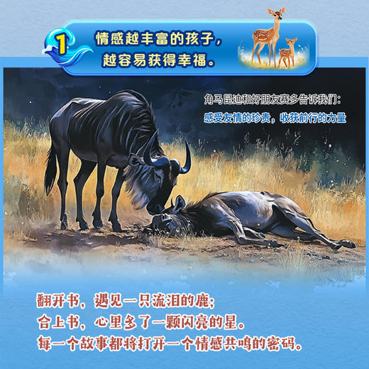 【精装】万物有灵 商品图2