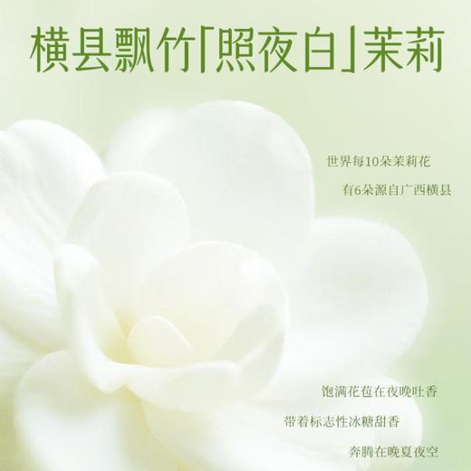 二次方茉莉石斛茶500ml 商品图4