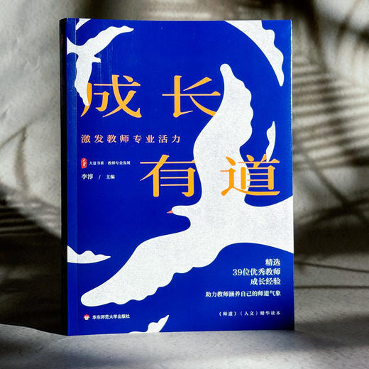 成长有道 激发教师专业活力 大夏书系 李淳 教师专业发展 商品图3