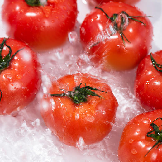 陕西普罗旺斯西红柿 净重4-4.5斤小中大果 商品图4