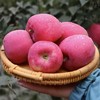 马栏红红苹果80-85cm 商品缩略图0