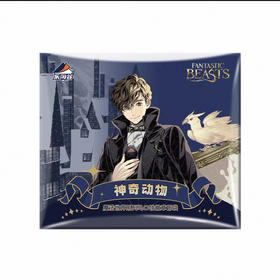 神奇动物-魔法世界系列马口铁徽章盲袋