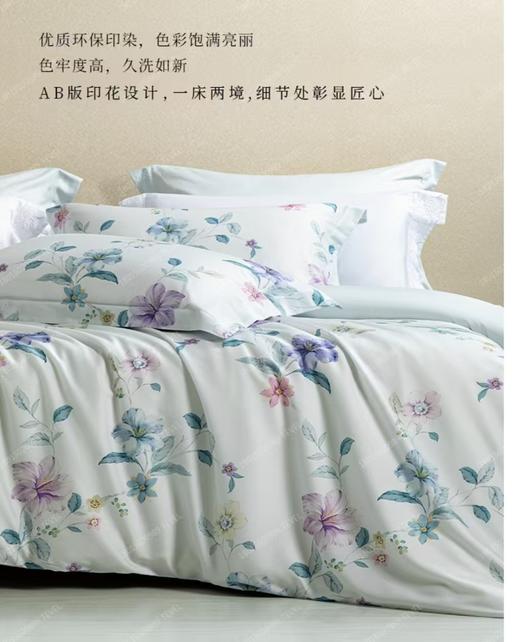 6F堂皇  馨悦 天丝棉四件套 商品图1