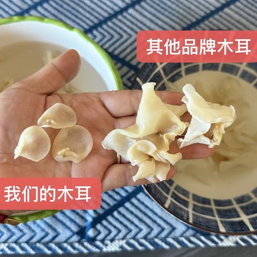 【干货精选】黑龙江白玉木耳 木耳届白富美 无熏硫 无漂白剂 无添加剂 富含丰富胶质 凉拌炒菜煲汤鲜美极了 商品图5