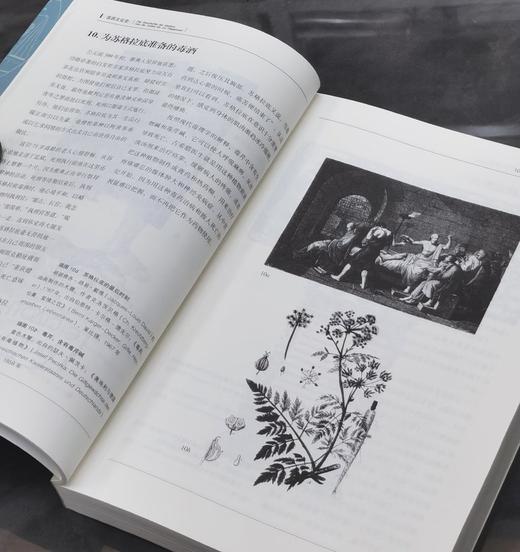 【特惠】《医药文化史》，平装，16开，[德]卡尔格・德克尔著，生活·读书·新知三联书店2019年，424面，定价:78.00元，售价31 商品图8