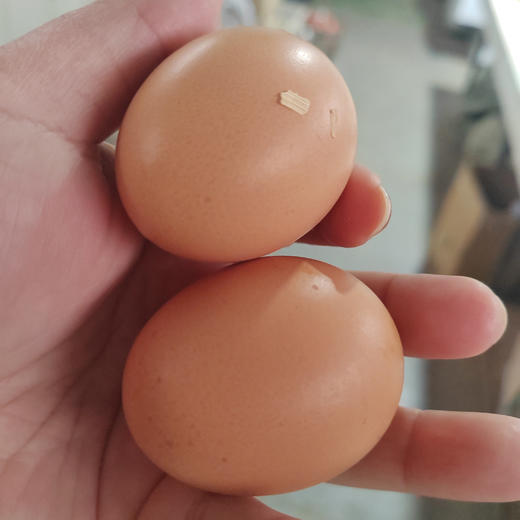 笨鸡蛋 1箱 商品图3