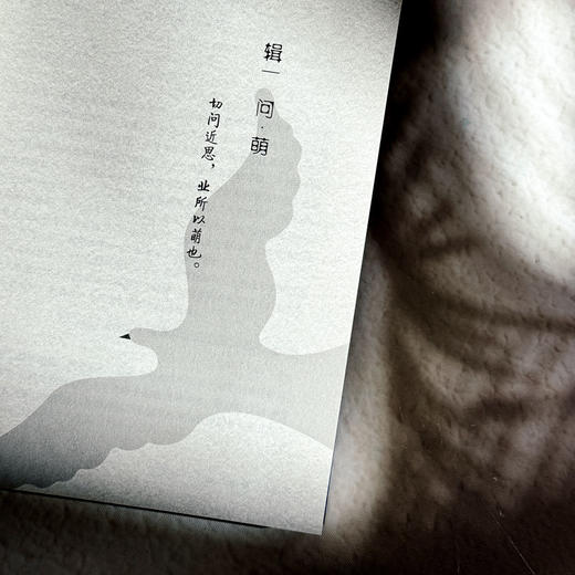 成长有道 激发教师专业活力 大夏书系 李淳 教师专业发展 商品图7