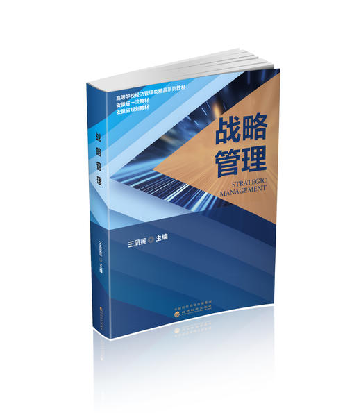 战略管理 商品图0