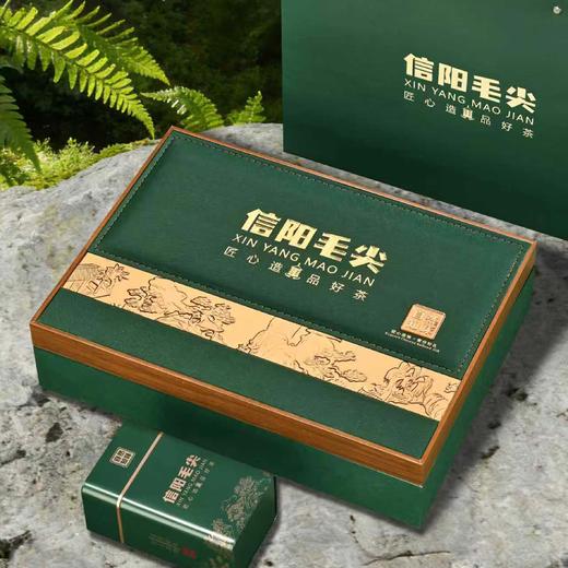 33元一套 / 一箱16套 自然知味【信阳毛尖 绿色 二合一】 商品图2