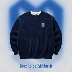 安踏樊振东系列 | 男女同款休闲针织卫衣圆领套头长袖172628703R