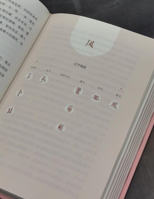 【特惠】《成语解字》，精装，32开，杨渡编著，三联书店2021年版，定价69，售价28元。 商品图9