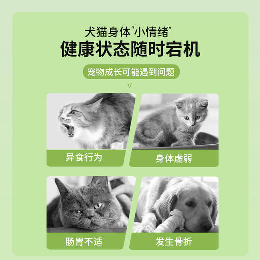 宝莱美露狗狗微量元素180片/瓶猫咪钙片维生素片保健品宠物益生菌 商品图2
