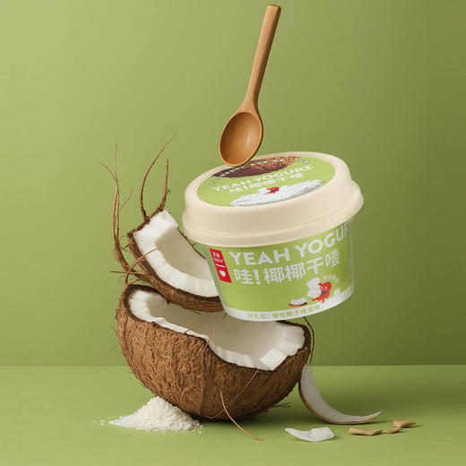 【顺丰】乐纯 干噎奶酪（原味/椰子）100g*6 商品图6