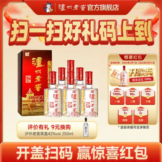 【扫码有好礼】38度泸州老窖六年窖头曲酒（09版）五码装500ml*6  泸州老窖官方旗舰店 商品图0