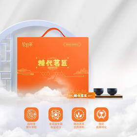 轻轻茶糖代茗匠黑茶礼盒 轻糖轻脂健康养生好茶三高黑茶礼盒