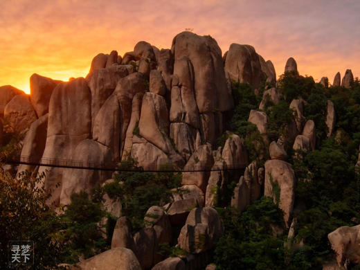 航拍·豫南春色：郑州、许昌曹魏故城、驻马店嵖岈山、信阳董寨朱鹮拍鸟、鸡公山杜鹃花海、文新茶村8天摄影团 商品图3