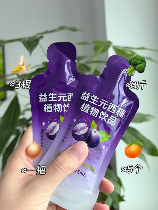 黄金搭档益生元植物西梅饮品 商品图2
