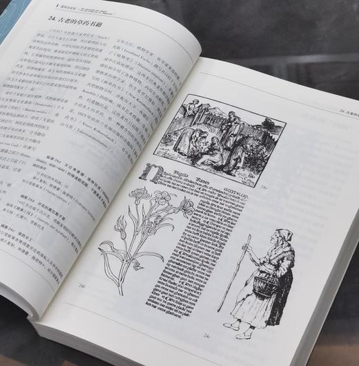 【特惠】《医药文化史》，平装，16开，[德]卡尔格・德克尔著，生活·读书·新知三联书店2019年，424面，定价:78.00元，售价31 商品图11