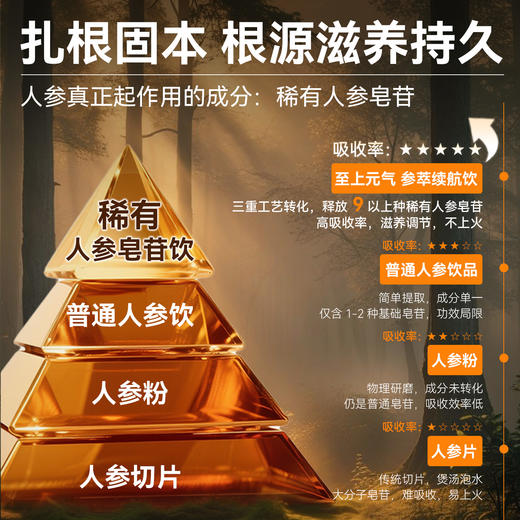 高能量参萃续航饮 源于长白山宋博士研发 温和养颜补元气 适合疲惫劳累上班学生考试 人参饮 商品图4