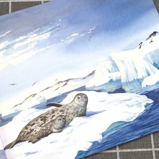 我的小小自然博物馆 全24册 地球家园 动物朋友 生命奇迹3-6岁文学自然科普书 自然知识 丰富孩子知识面 趣味百科动物绘本大班阅读 商品图4