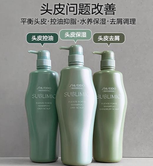 日本资生堂芯护理道芳氛头皮系列控油/去屑/保湿洗发露-1L/250ML 商品图0