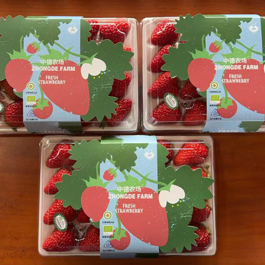 【产品成熟度高】基地直发 | 有机红颜草莓 | 浙江台州 商品图3