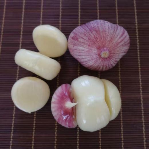 【做菜好吃❗️云南紫皮三瓣蒜】皮薄易剥，口味辛辣，鲜嫩多汁！整箱现挖鲜蒜5元宝红皮大蒜头蔬菜3三丫蒜 商品图4