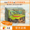 我的小小自然博物馆 全24册 地球家园 动物朋友 生命奇迹3-6岁文学自然科普书 自然知识 丰富孩子知识面 趣味百科动物绘本大班阅读 商品缩略图0