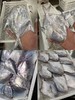 L''【今日必抢！！】 “新鲜上岸“纯野生白鲳鱼”，鱼肉像蒜瓣一样散开，鲜甜满分！新手必试（活冻） 商品缩略图0
