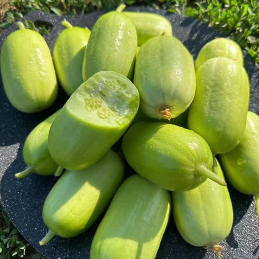 【基地直发】山东玉女小黄瓜，脆嫩多汁，自带清甜回甘，无涩腥，颠覆你对黄瓜的想象! 亦蔬亦果，解腻轻脂，净重3斤/4斤泡沫箱+网套 商品图1