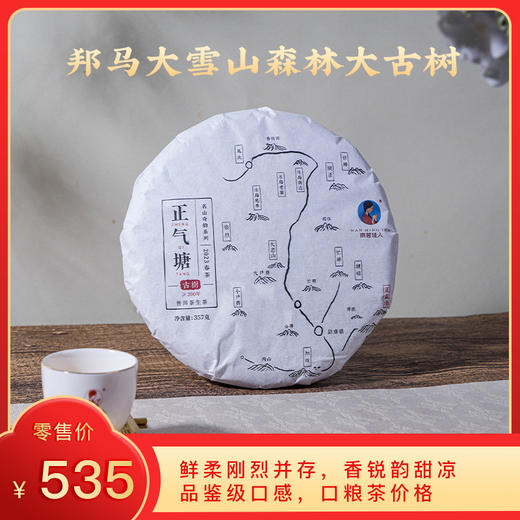 [8折，买7送1]2023年《正气塘》古树春茶 357克/饼 生茶 商品图0