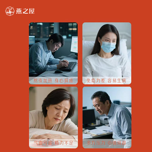 【周末放“价”】燕之屋·燕窝鲜参蜜片66g(22gx3)/盒（每盒不低于36片） 商品图2