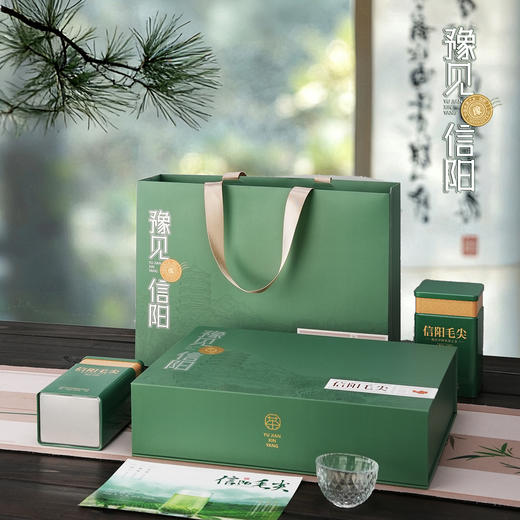 22元一套 / 一箱20套 豫见信阳【信阳毛尖 双罐 绿色 】 商品图3