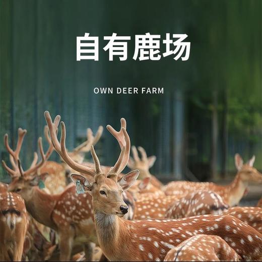 紫御东方双鹿全骨营养三髓粉320g（20g*16袋） 商品图2