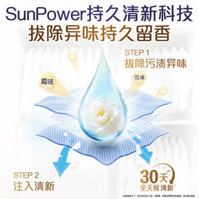 当妮香氛洗衣原液阳光栀子花50g*4袋试用装旅行装 持久留香30天 /家庭清洁/纸品 /衣物清洁 /普通洗衣液