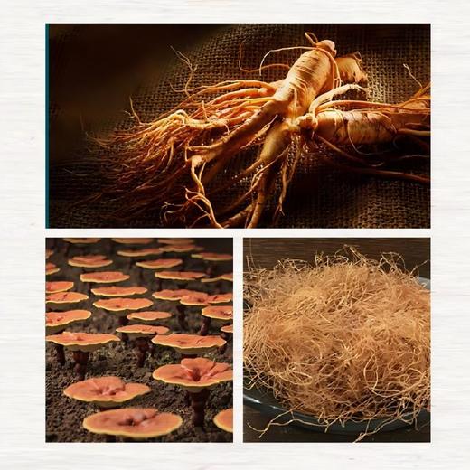 紫御东方渗栋力参芝玉麦须虫草饮280g（20g*14袋） 商品图2