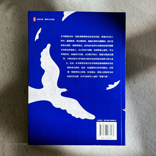 成长有道 激发教师专业活力 大夏书系 李淳 教师专业发展 商品图2