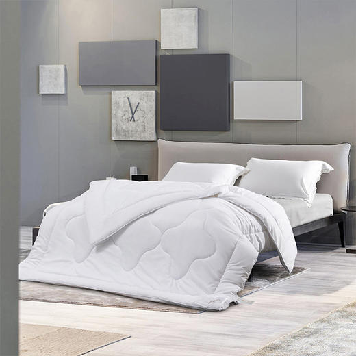 水星家纺丨水星家纺舒享净柔抗菌四季被 商品图1