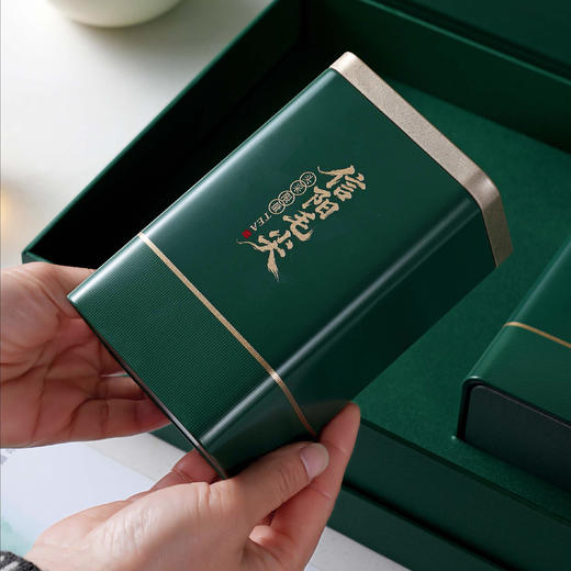 18元一套 / 一箱20套 核心产区【信阳毛尖 双罐 绿色 】 商品图2