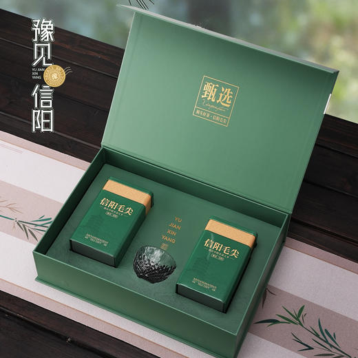 22元一套 / 一箱20套 豫见信阳【信阳毛尖 双罐 绿色 】 商品图1