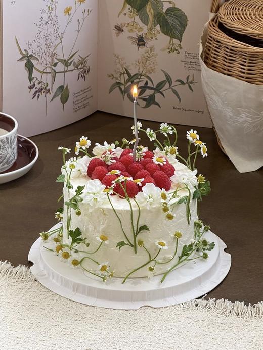 【女神节】菊野莓语 | 昔果 商品图2