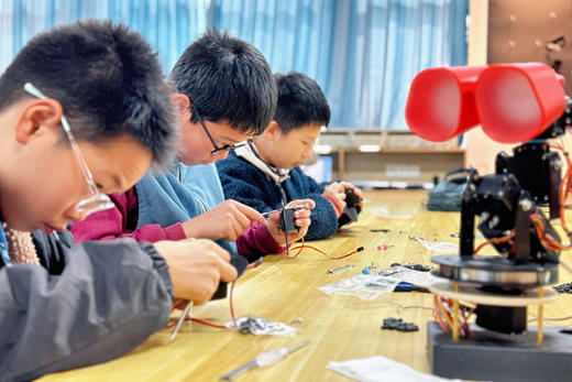 春假4.1/4.4【成电创客营3天2晚创造营】AI Light，解锁AI黑科技，创造一架会思考的机械臂台灯！ 商品图2