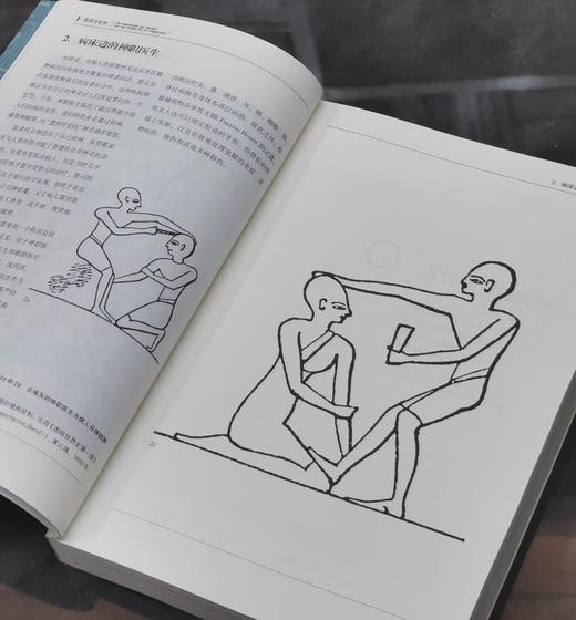 【特惠】《医药文化史》，平装，16开，[德]卡尔格・德克尔著，生活·读书·新知三联书店2019年，424面，定价:78.00元，售价31 商品图5