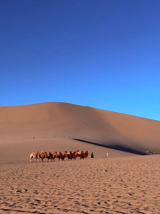 【丝路春晓·华彩敦煌】纯玩双飞6日游 商品图2