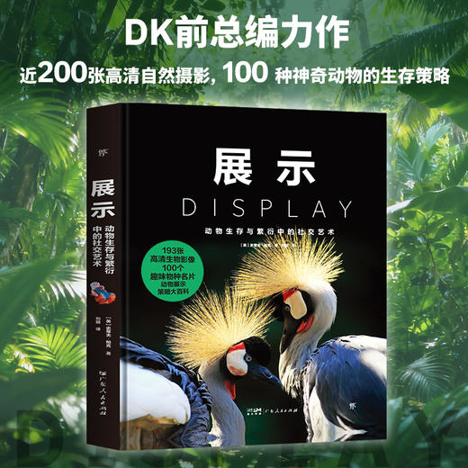 《展示：动物生存与繁衍中的社交艺术》《伪装：自然界隐蔽的生存密码》| DK前主编力荐 亲子共读推荐读物 商品图2