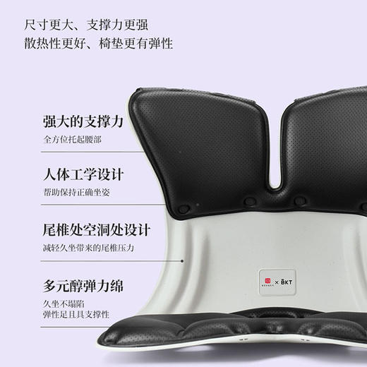 BKT 人体工学护腰坐姿椅 加大版 神秘黑-LP01 商品图3