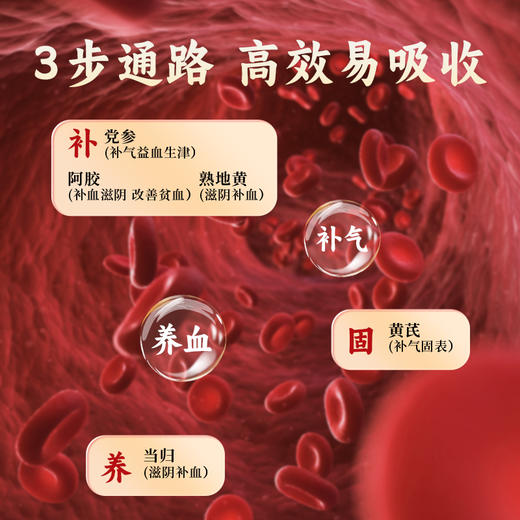 天士力大健康海瑞康牌黄芪当归阿胶口服液(10ml*10支） 商品图3