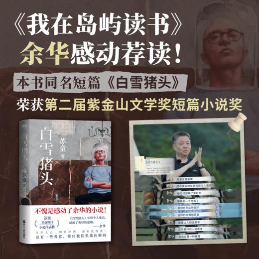 白雪猪头 苏童 商品图1