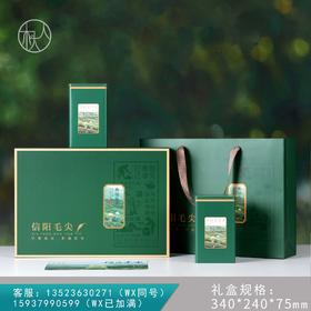 18元一套 / 一箱20套 致敬春天【信阳毛尖 双罐 绿色 】